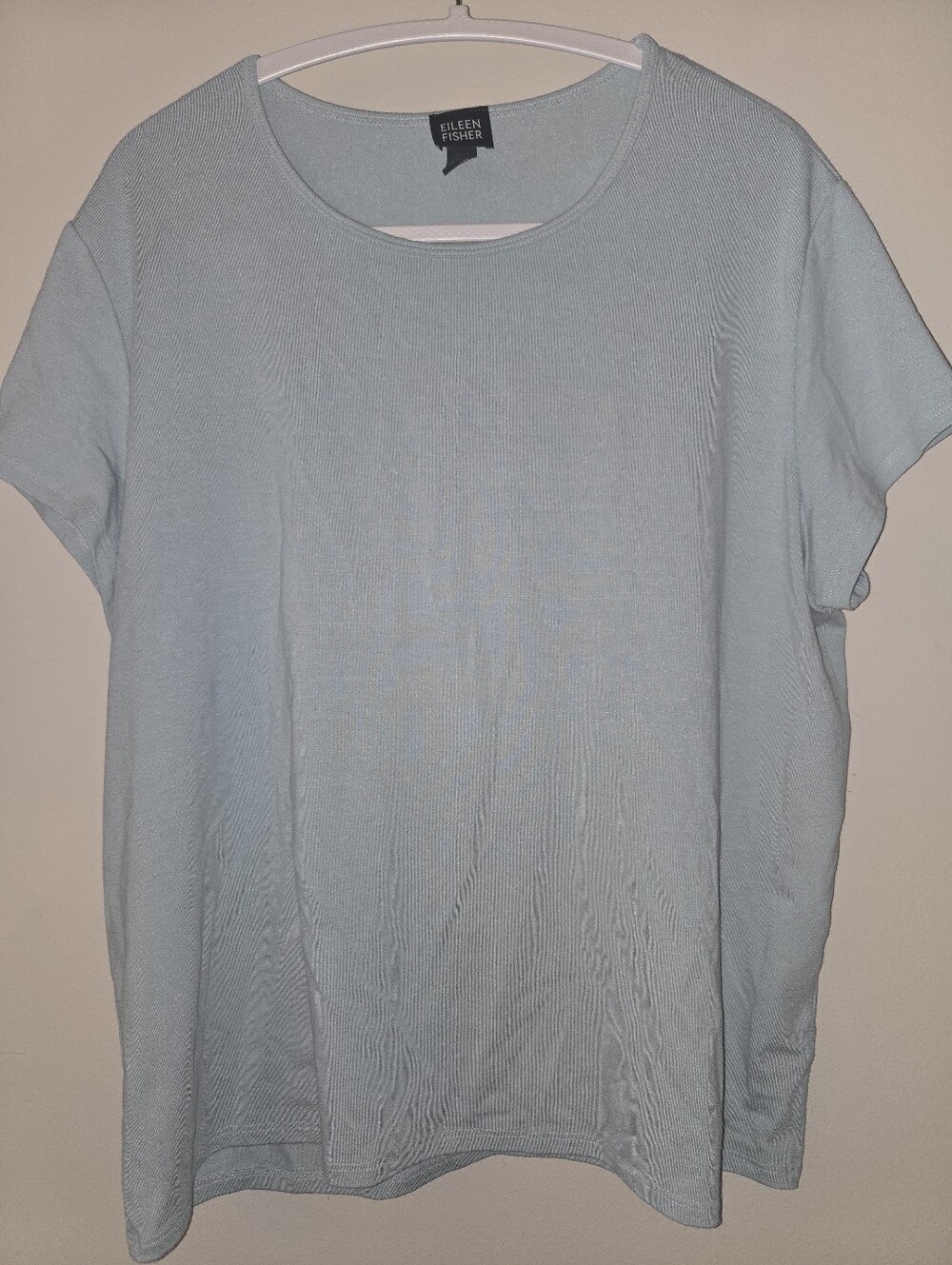 Eileen Fisher Italian Viscose Stretch Top [XL] Soft Blue Short Sleeve